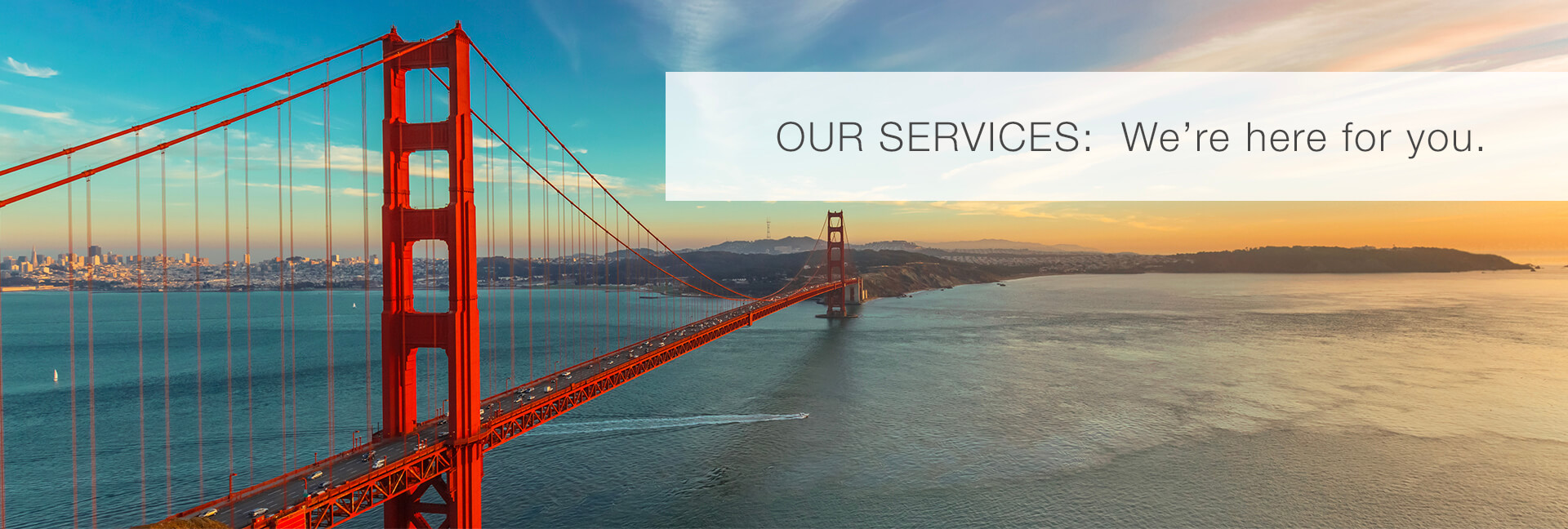 Our Services